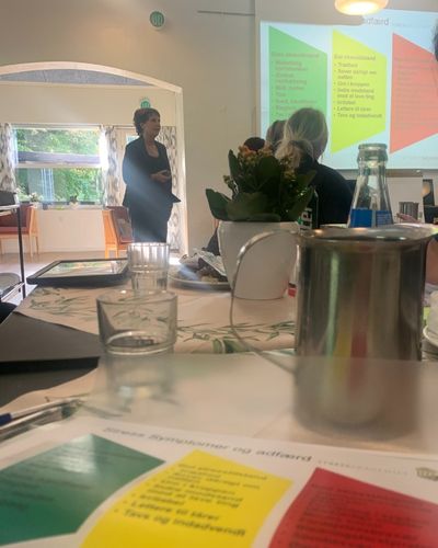 Workshop om stresssymptomer, adfærd og kommunikation