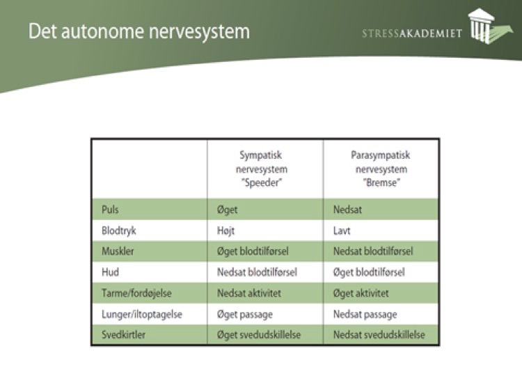 Det autonome nervesystem
