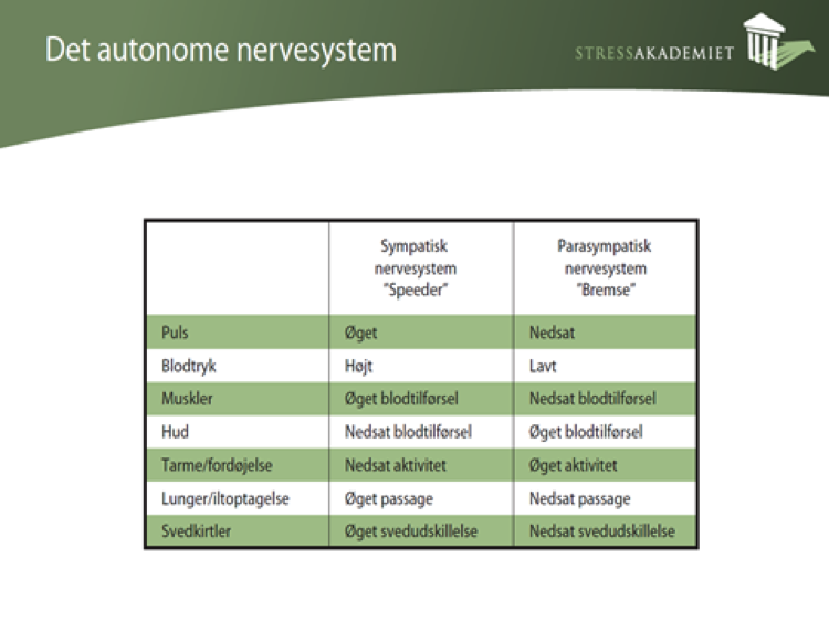 Hvad er stress - Det autonome nervesystem